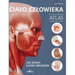 Ciało człowieka. Atlas | Ken Ashwell | książka Alma-Press