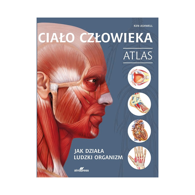 Ciało człowieka. Atlas | Ken Ashwell | książka Alma-Press
