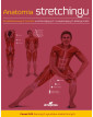 Anatomia stretchingu