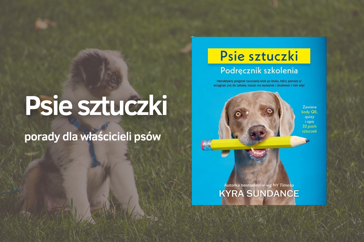 Psie sztuczki - porady dla właścicieli psów